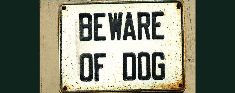 Landlord Liability for Tenant's Dog