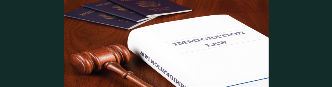 Immigration Law